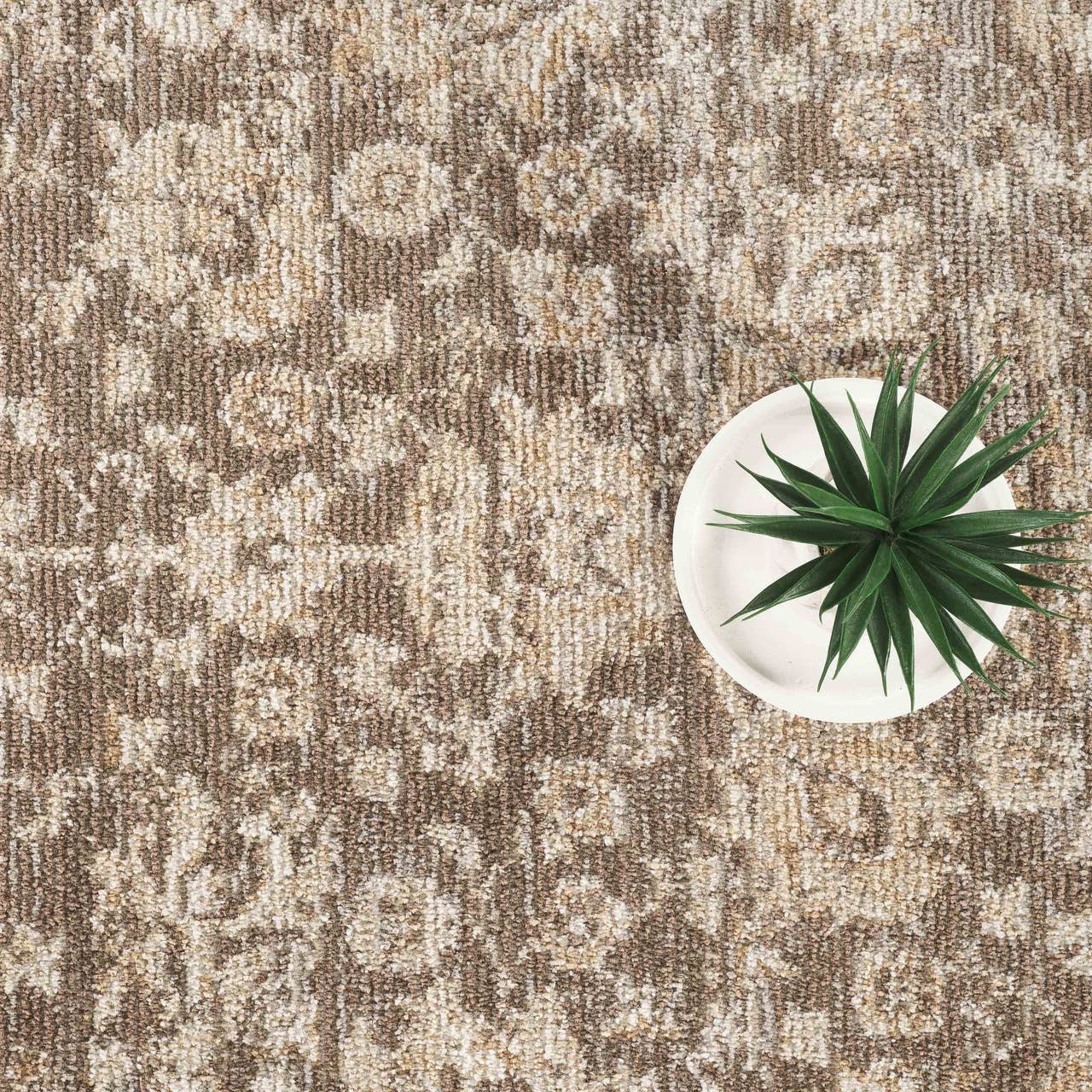 Evelyn Distressed Floral Beige Taupe Area Rug -
