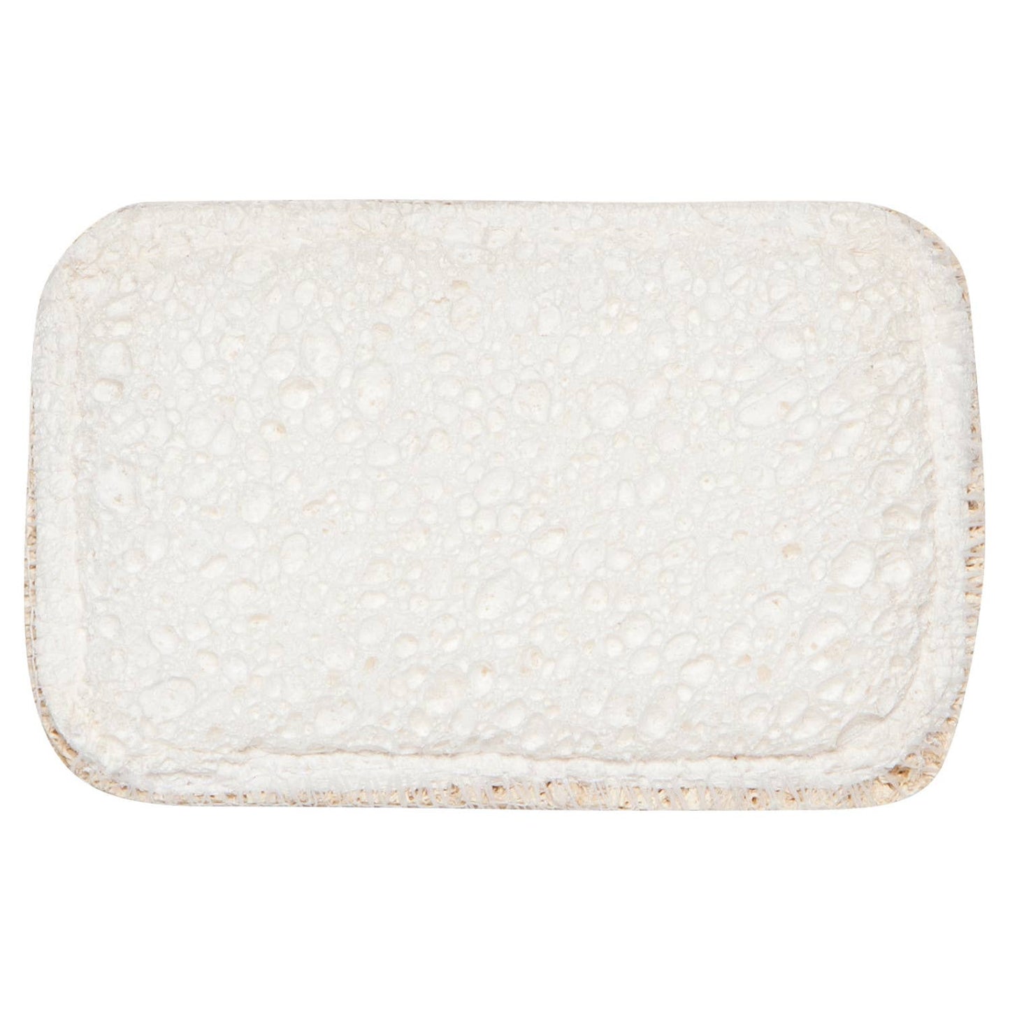 Dish Sponges Set of 2 - Sponges & Scouring Pads