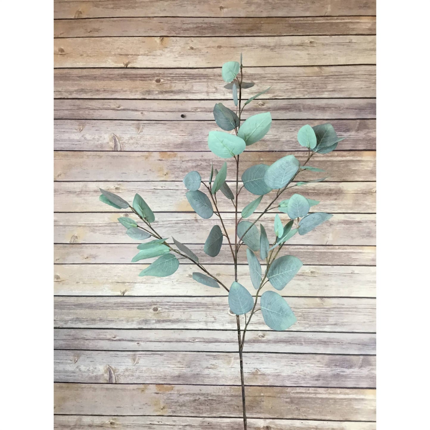 37" Silver Dollar Eucalyptus Spray -