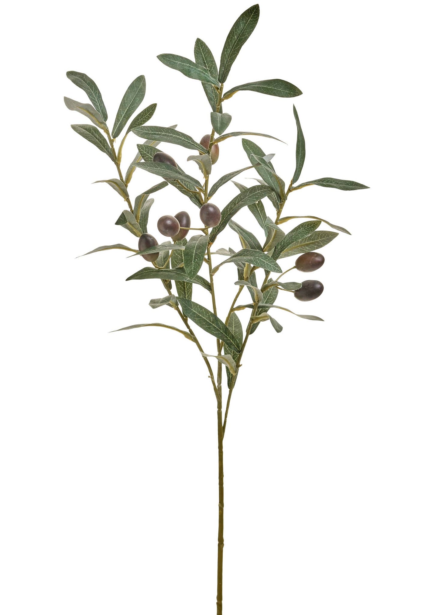OLIVE BRANCH PLST GREEN/BLACK 10X29 - Artificial Non-Flowering Plants