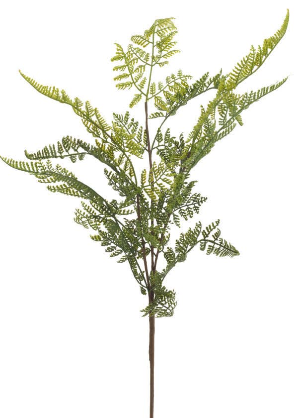 SPRAY LACE FERN GRN/BRN 32" -
