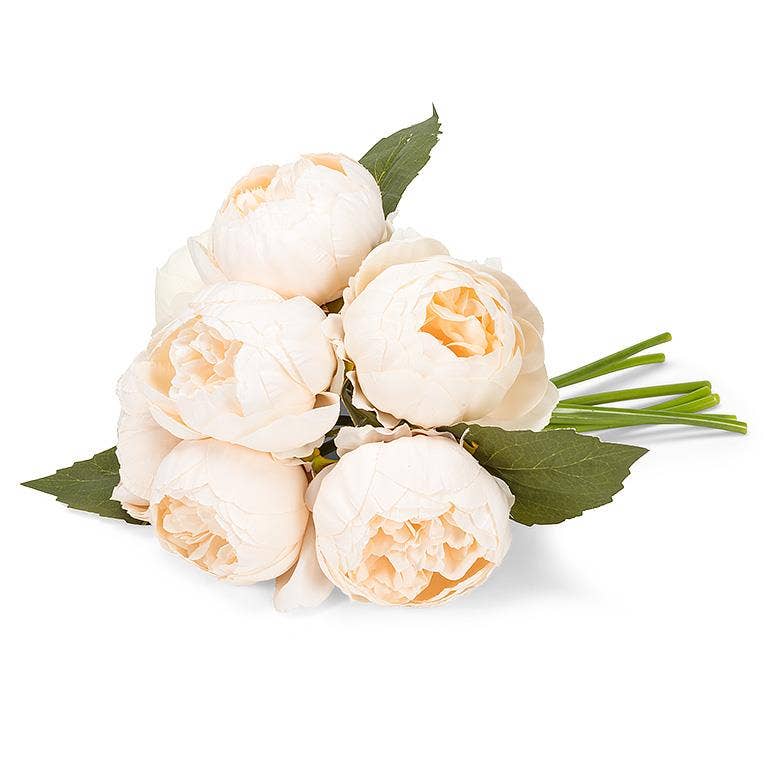 Everlasting Botanicals