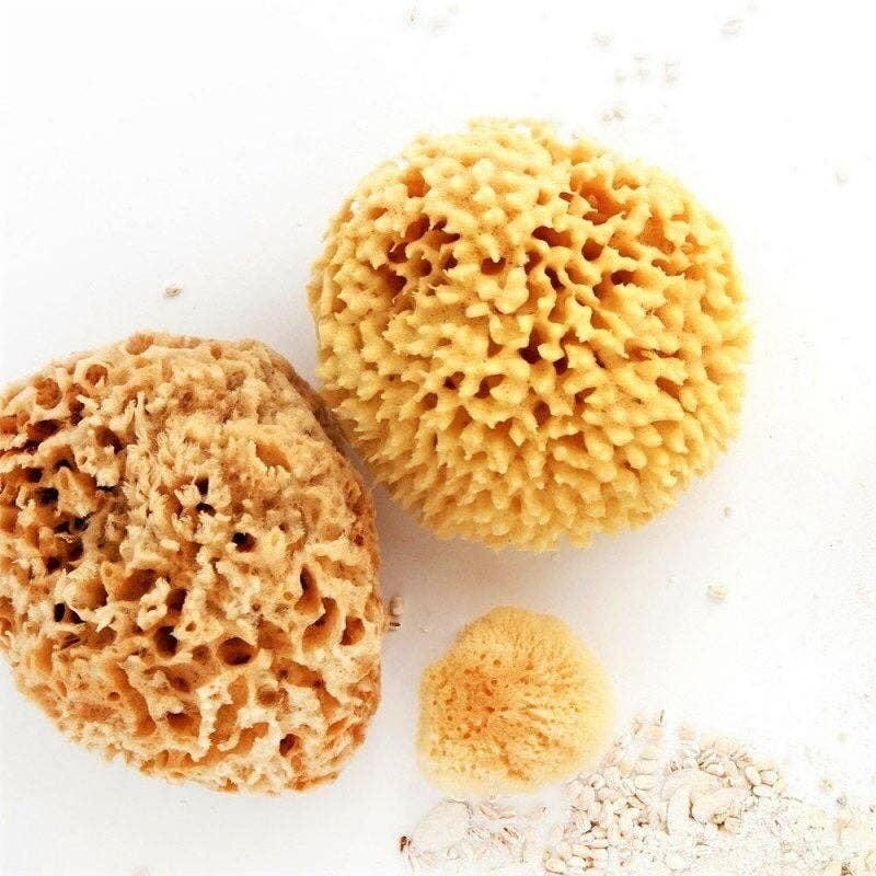 Natural Sea Sponge - Plastic Free Organic Sea Sponge -