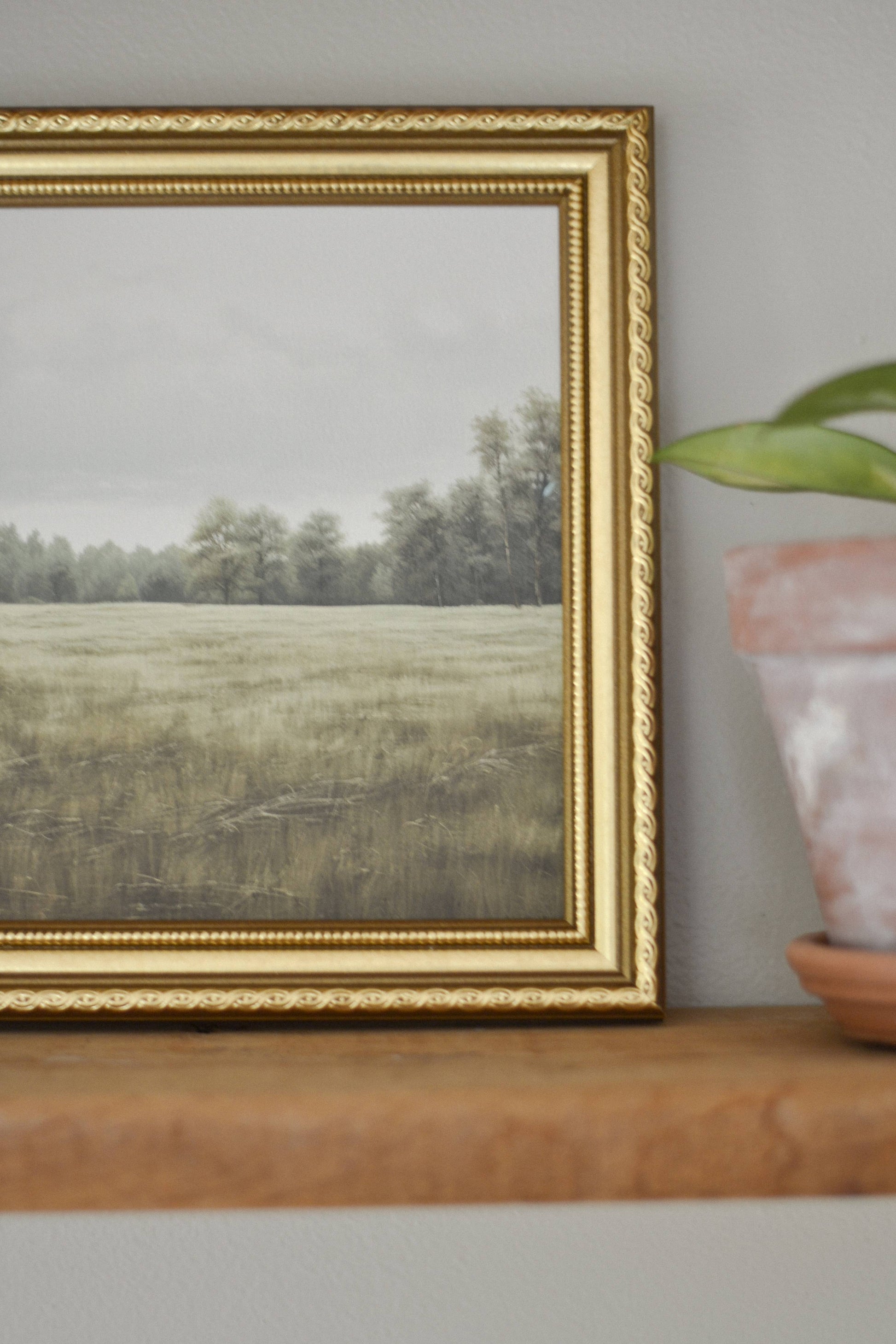 Evergreen Meadow -