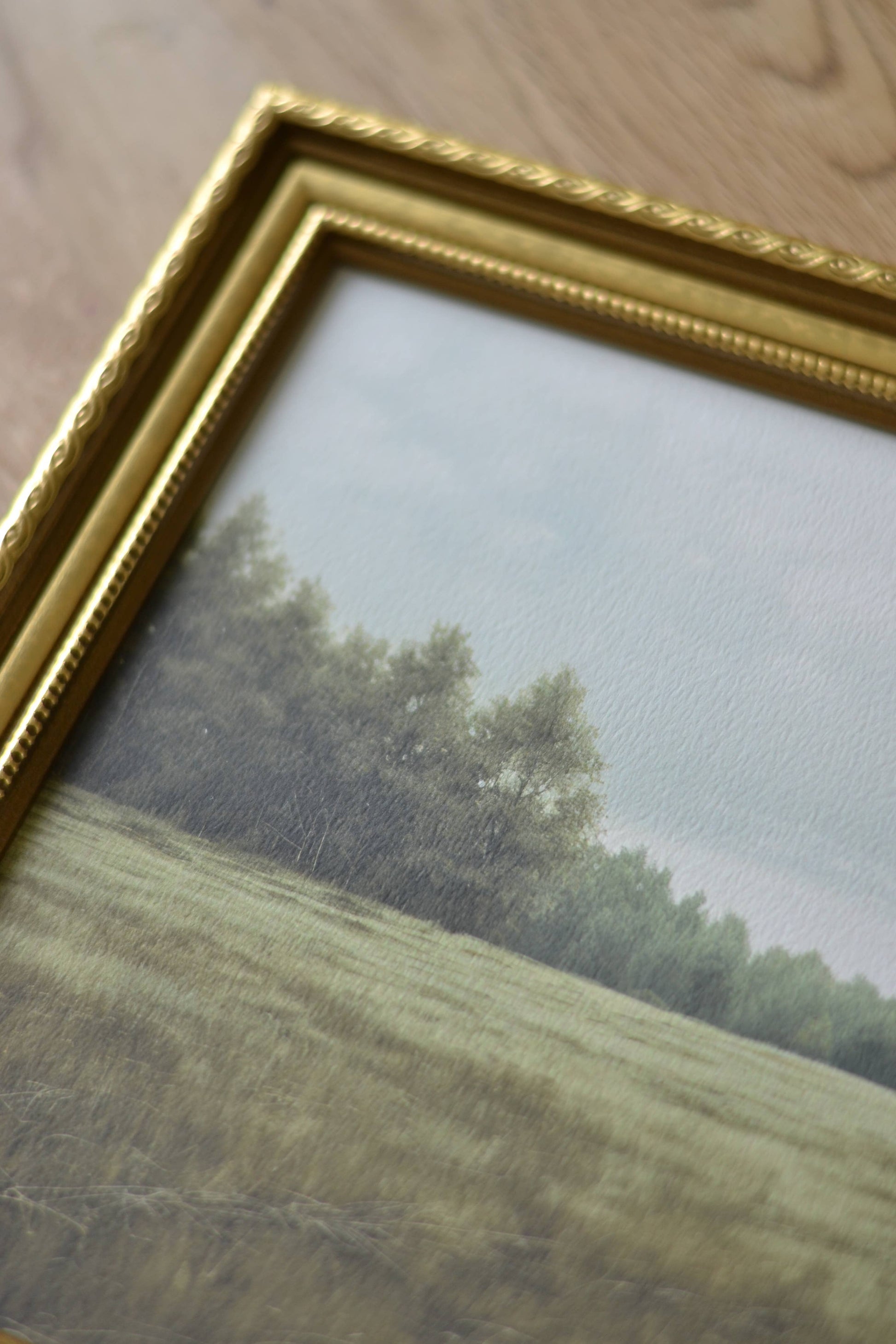 Evergreen Meadow -