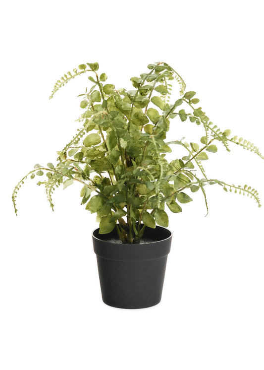 FERN POTTED PLST GREEN 9X14 -