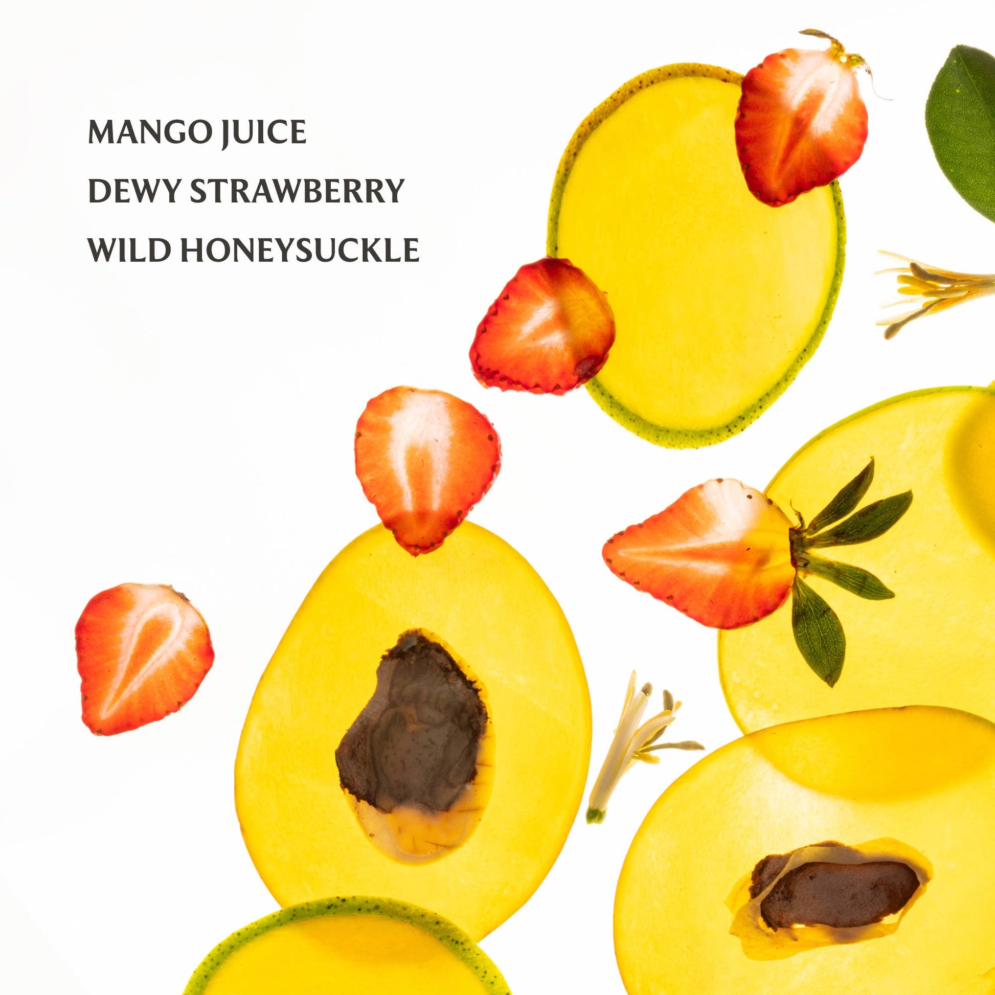 Mango Mojo Power Essence Body & Hair Fragrance Mist -