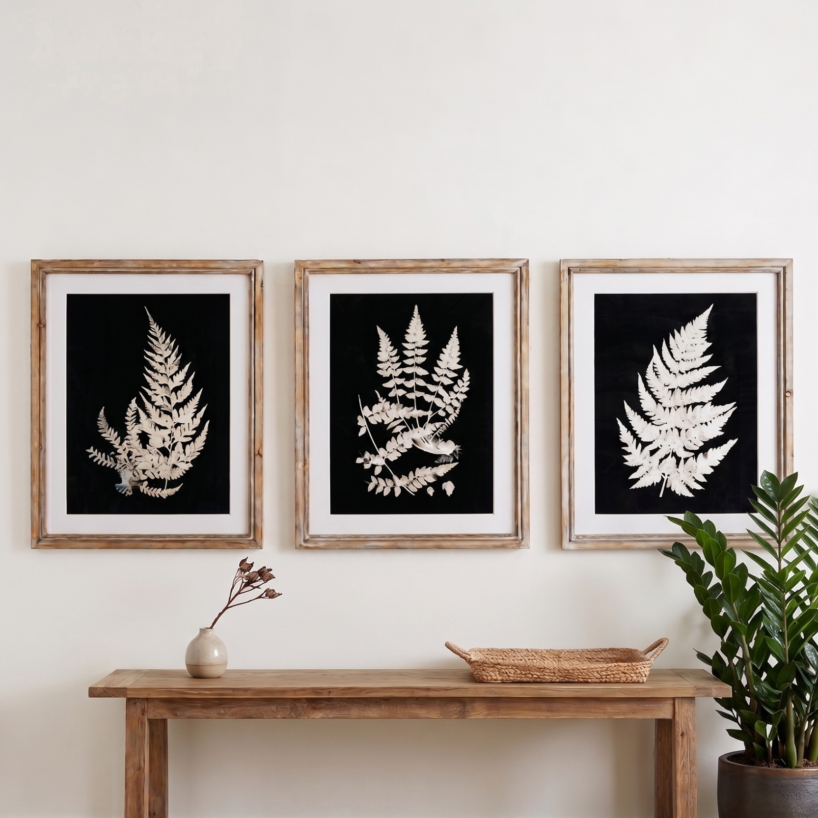 Assorted Framed Fern Print -