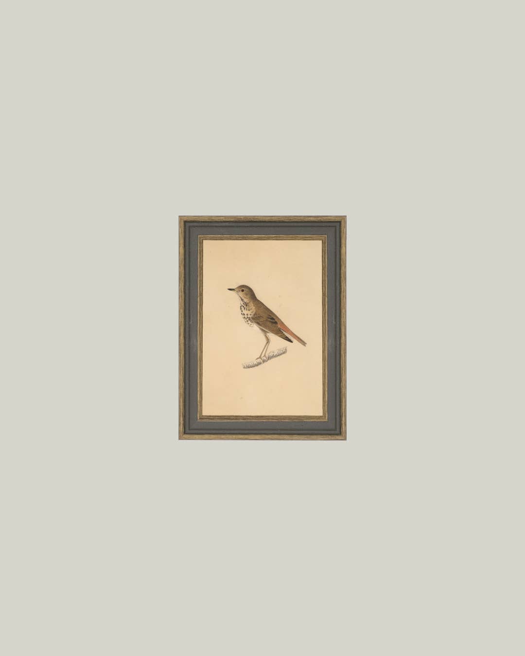 Bird Framed Antique Art -