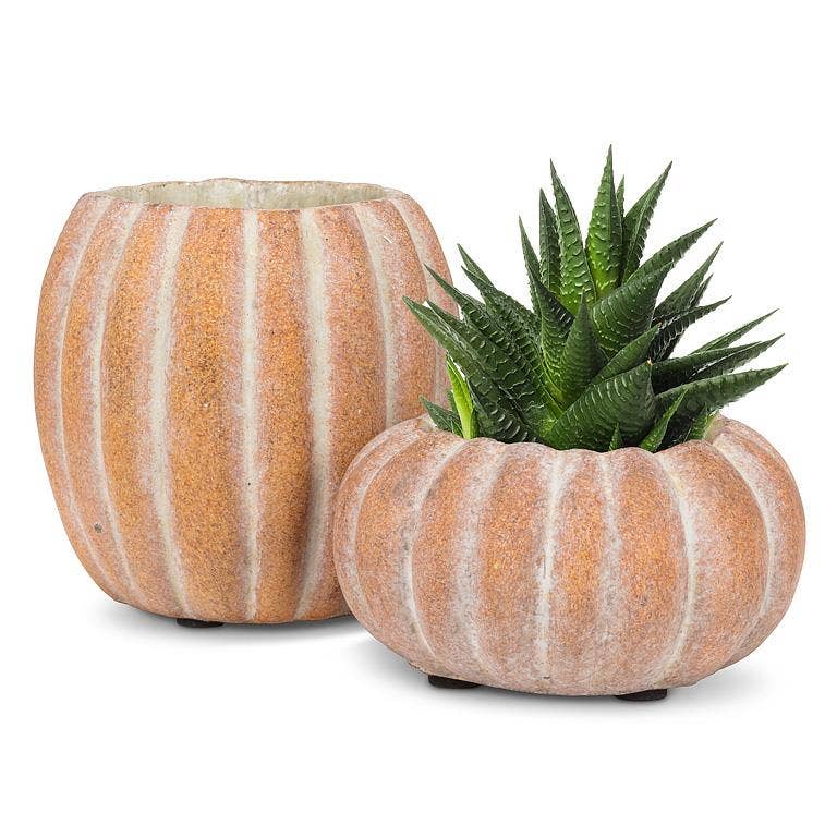 Cement Pumpkin Planter -