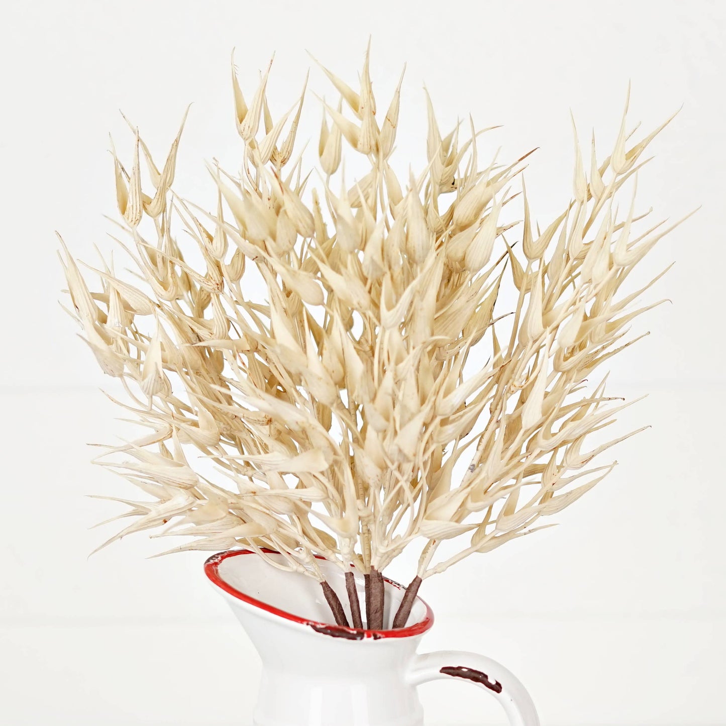 530061- 16in Bush-Cream Bearded Wheat Grass- -