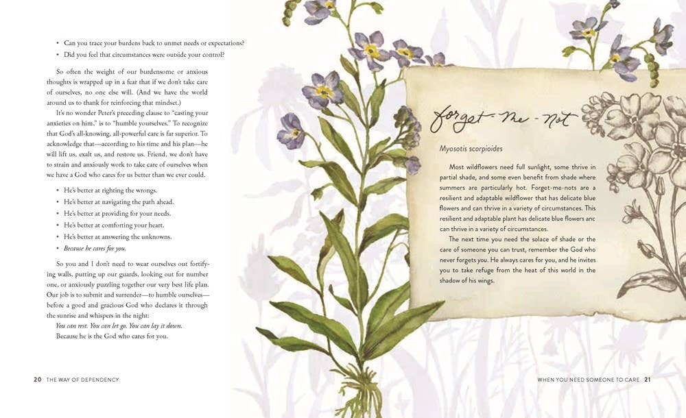 The Way Of The Wildflower Gospel Meditations To Unburden Your Anxious Soul