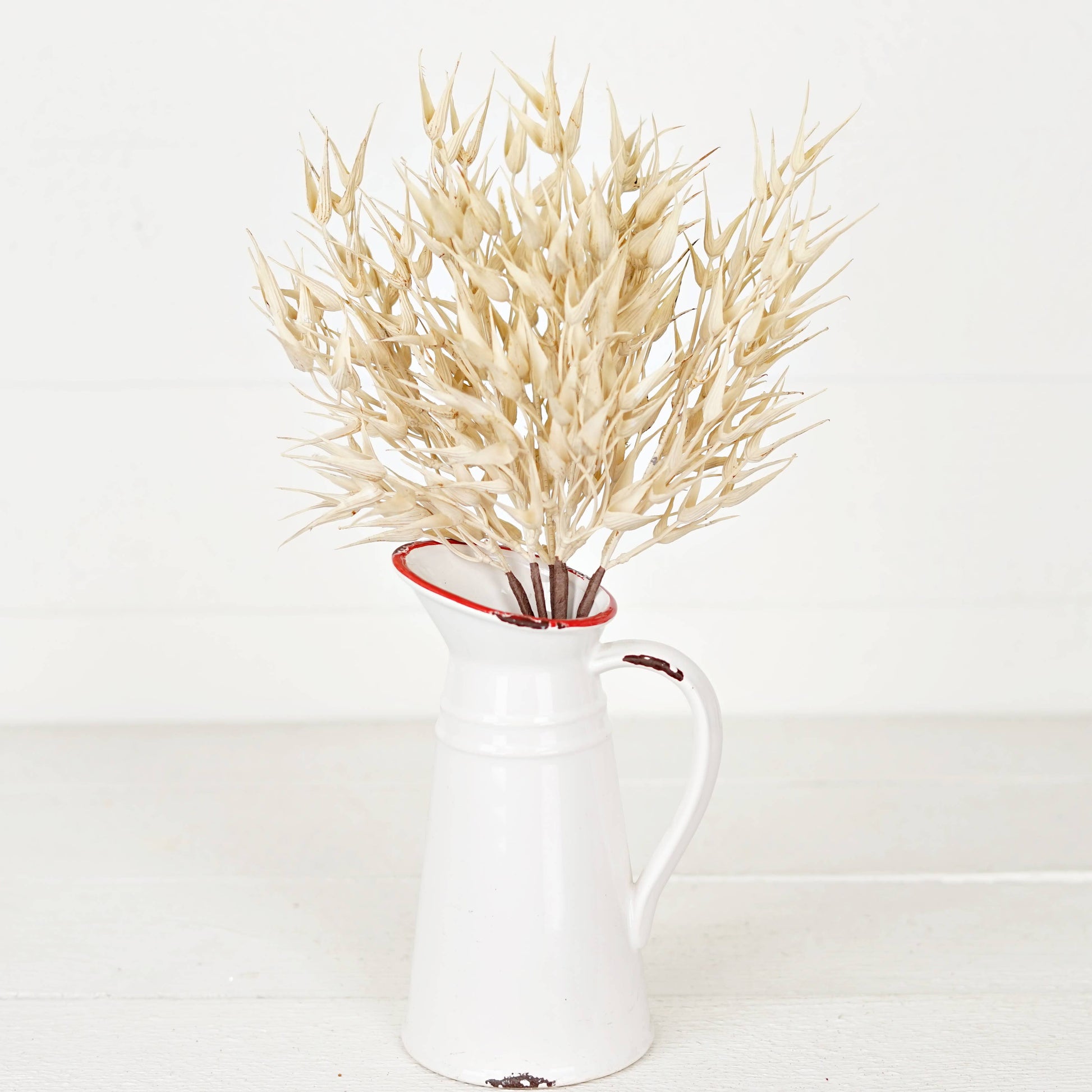 530061- 16in Bush-Cream Bearded Wheat Grass- -