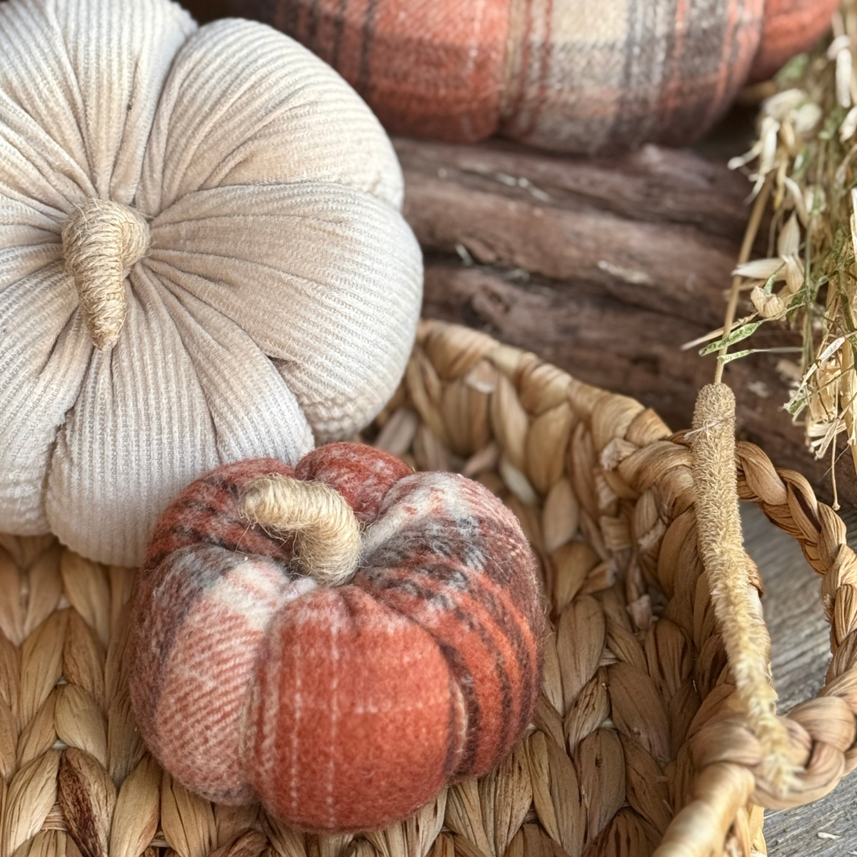 CF-3277 - Small Dusty Plaid Pumpkin -