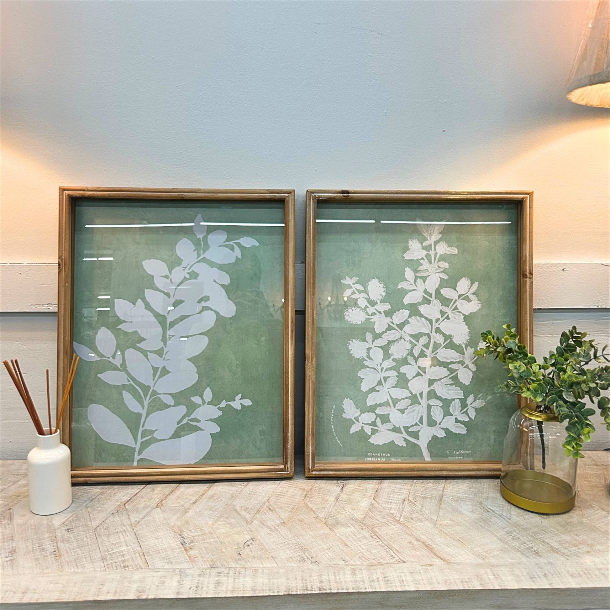Botanical Wall Art Set of 2 with Glass 20''X16'' -