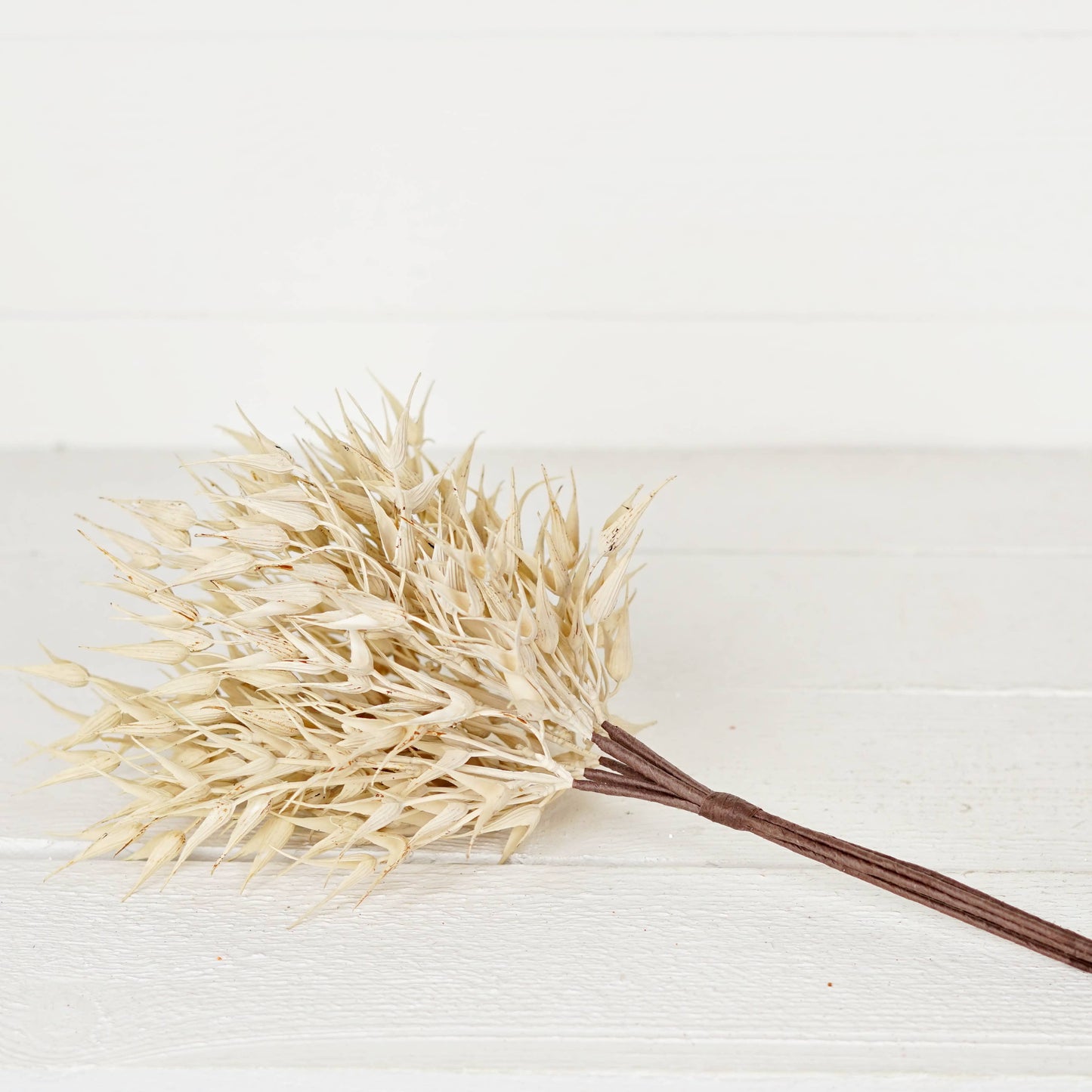 530061- 16in Bush-Cream Bearded Wheat Grass- -