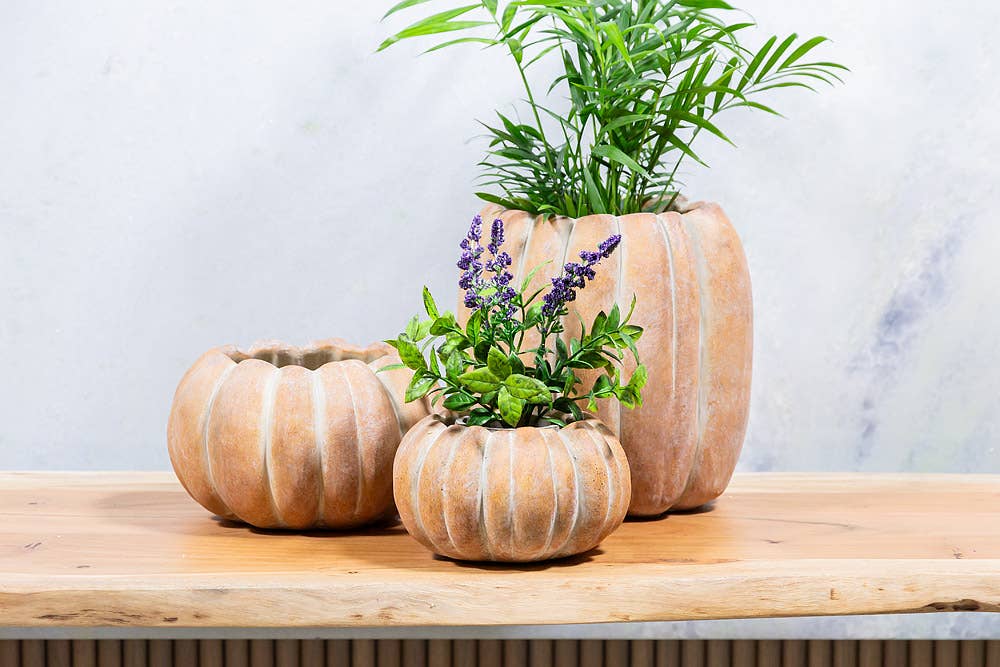Cement Pumpkin Planter -