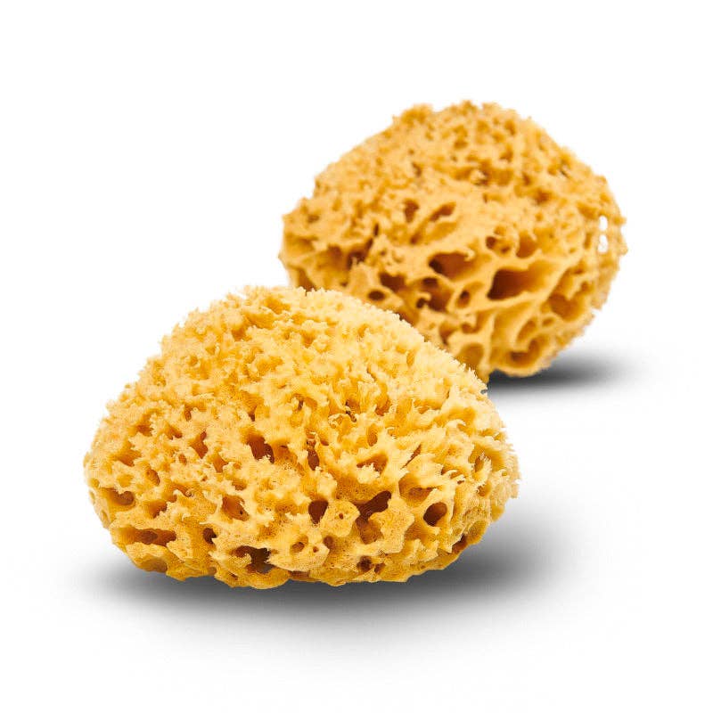 Natural Sea Sponge - Plastic Free Organic Sea Sponge -