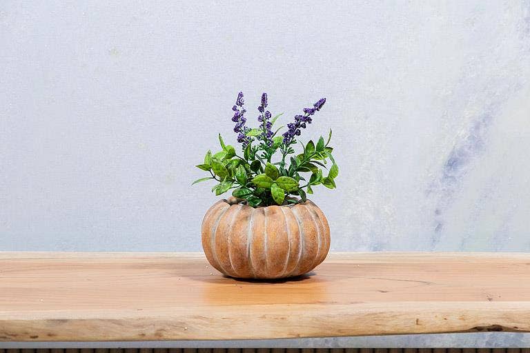 Cement Pumpkin Planter -
