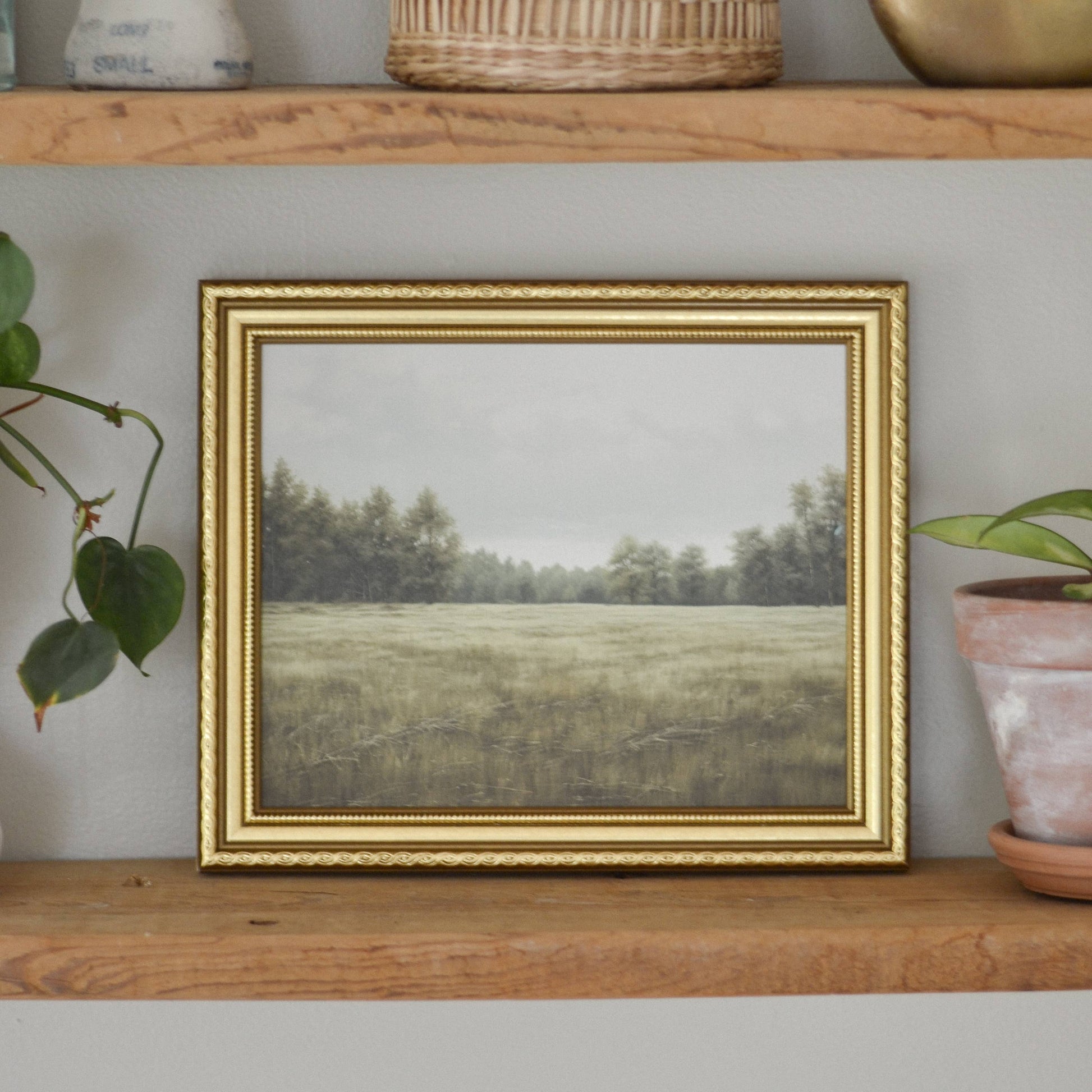 Evergreen Meadow -