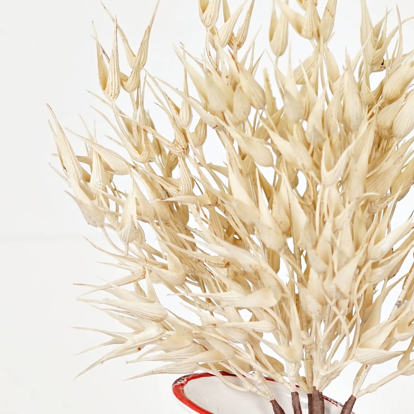 530061- 16in Bush-Cream Bearded Wheat Grass- -