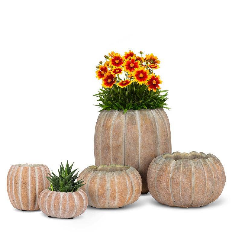 Cement Pumpkin Planter -