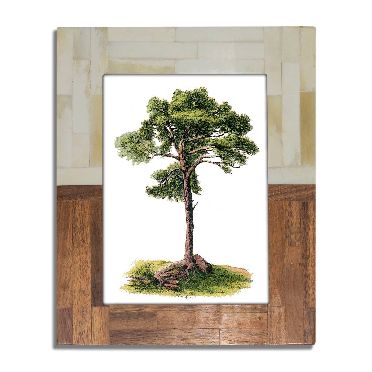 Half Split Wood & Bone Photo Frame -
