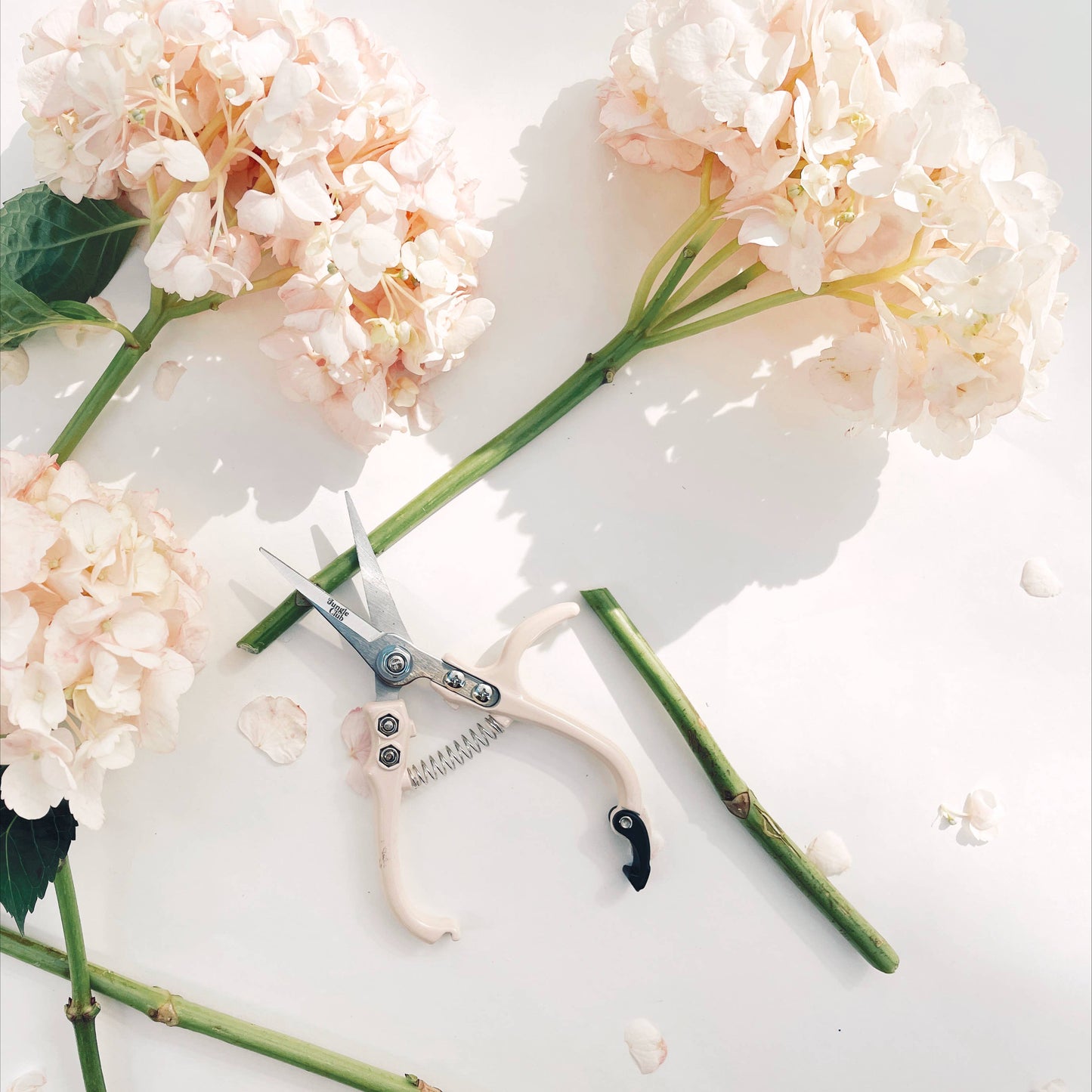 Pruning Shears | Vanilla -