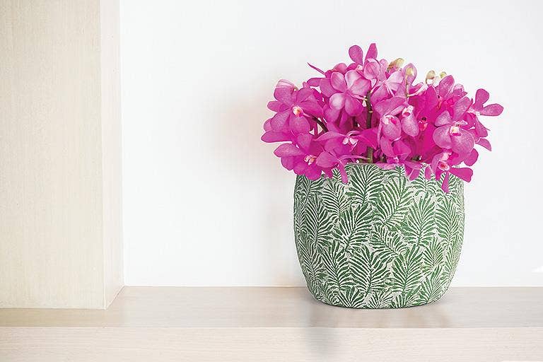 Green Leaf Planter -