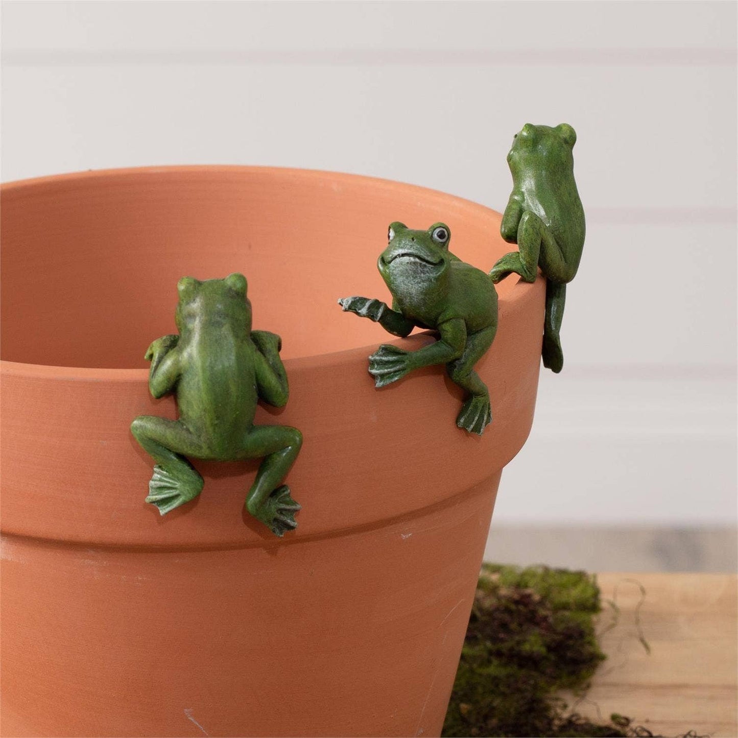 Pot Huggers - Frogs (Pk/09 Ast) -