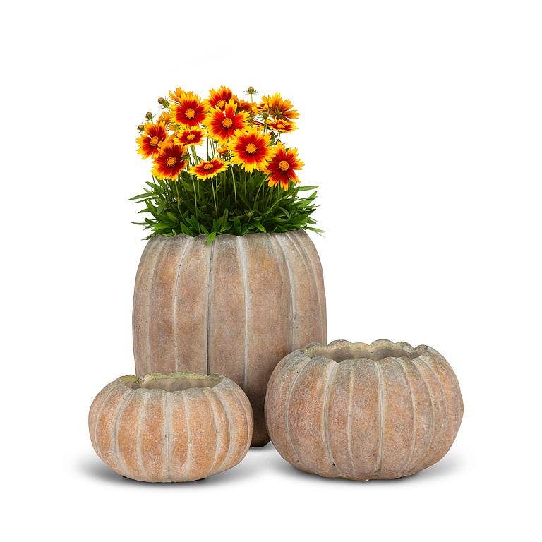 Cement Pumpkin Planter -