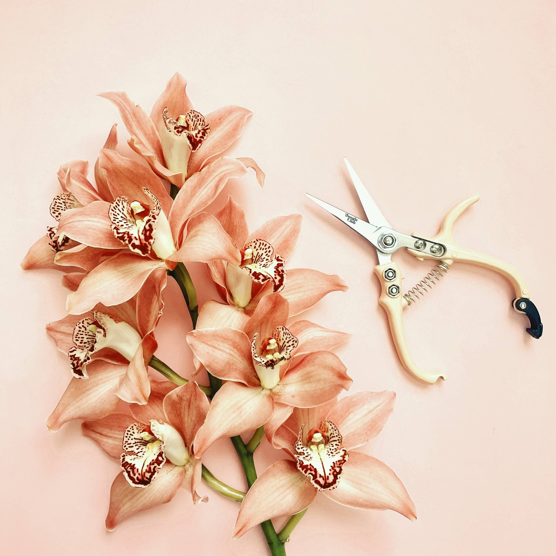 Pruning Shears | Vanilla -