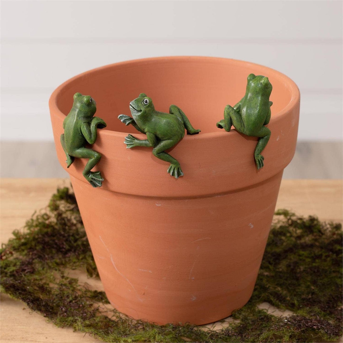 Pot Huggers - Frogs (Pk/09 Ast) -