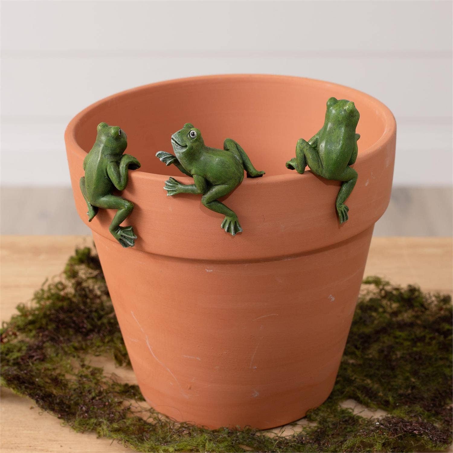 Pot Huggers - Frogs (Pk/09 Ast) -