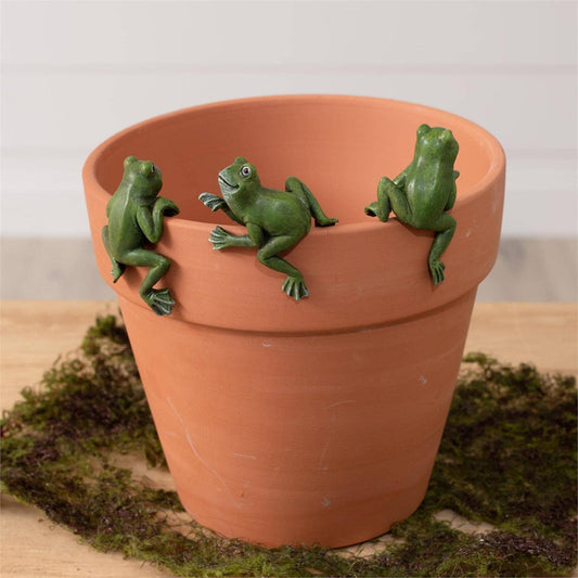 Pot Huggers - Frogs (Pk/09 Ast) -