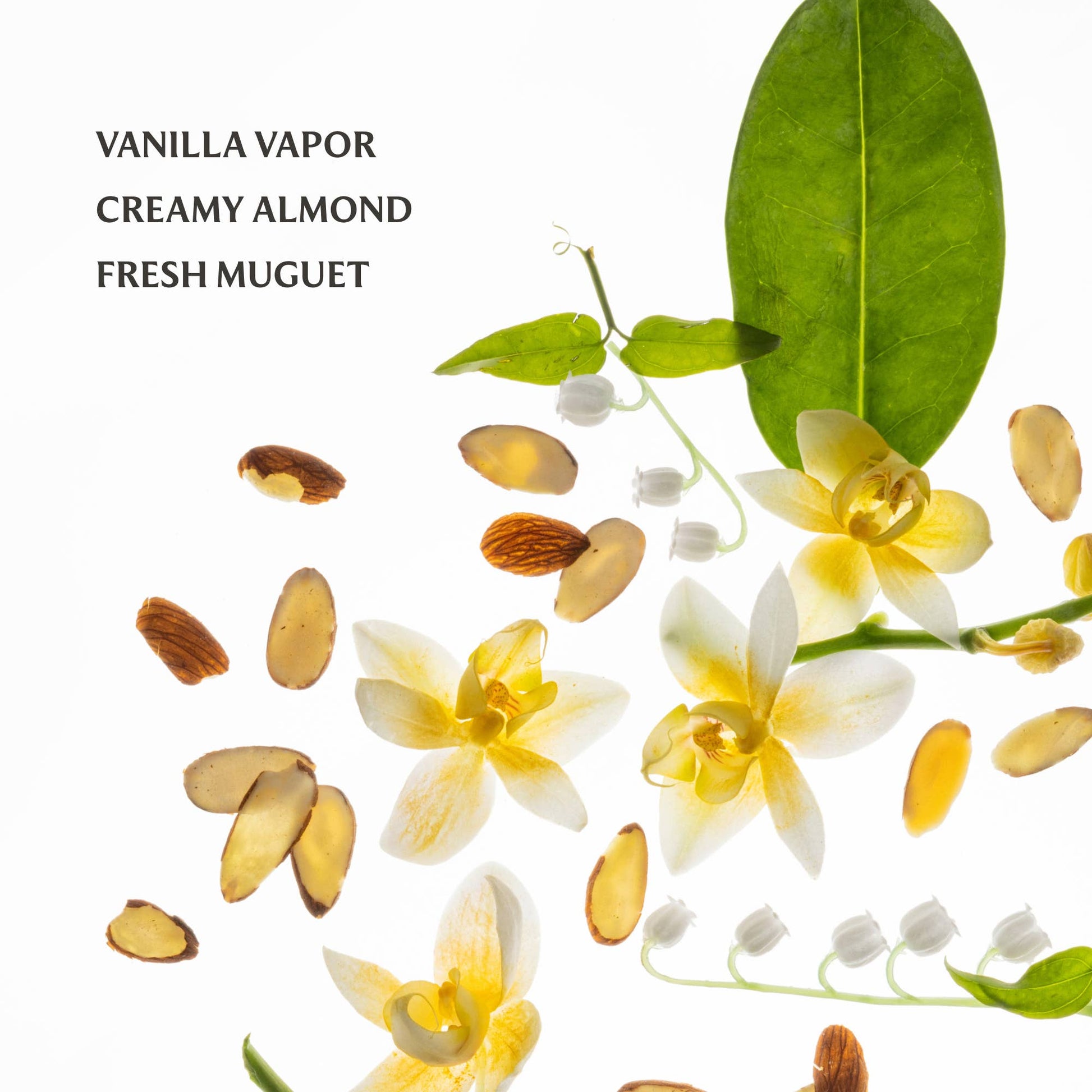 Vanilla Velvet Power Essence Body & Hair Fragrance Mist -