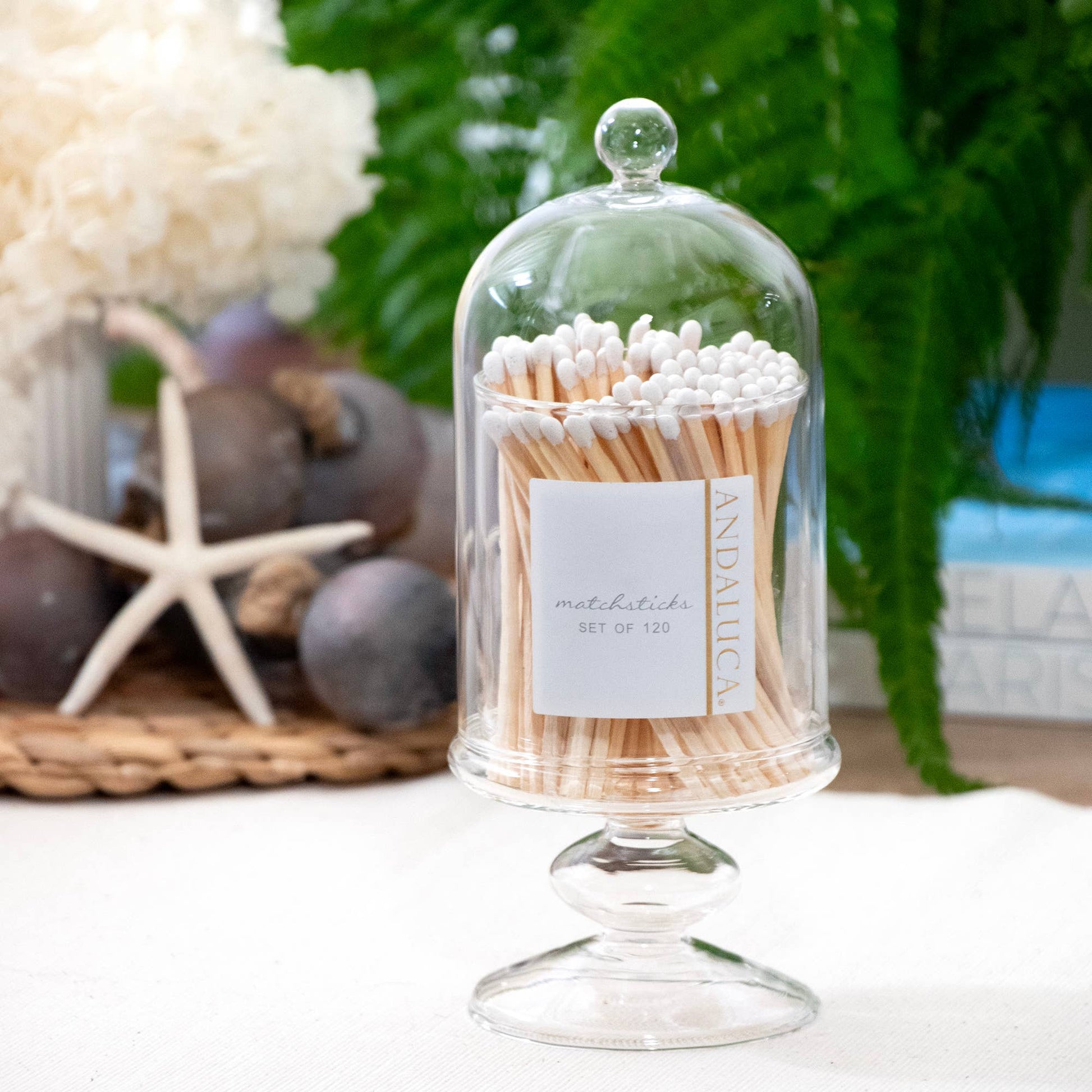 Tall Glass Jar with Lid & 120 Wooden White Matches -