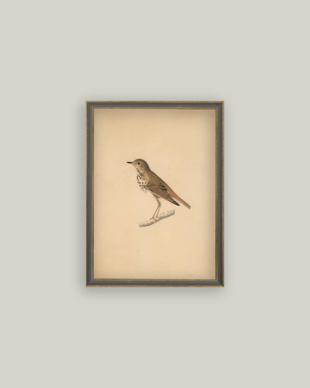 Bird Framed Antique Art -