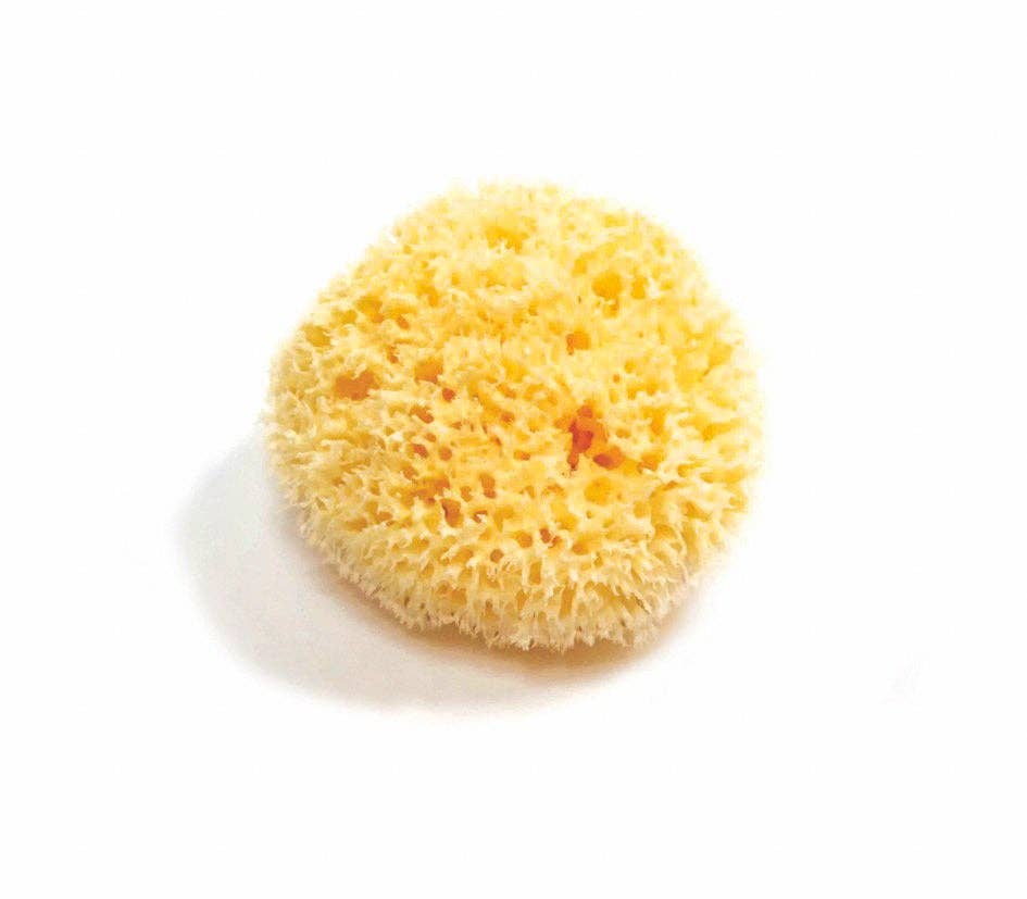 Natural Sea Sponge - Plastic Free Organic Sea Sponge -