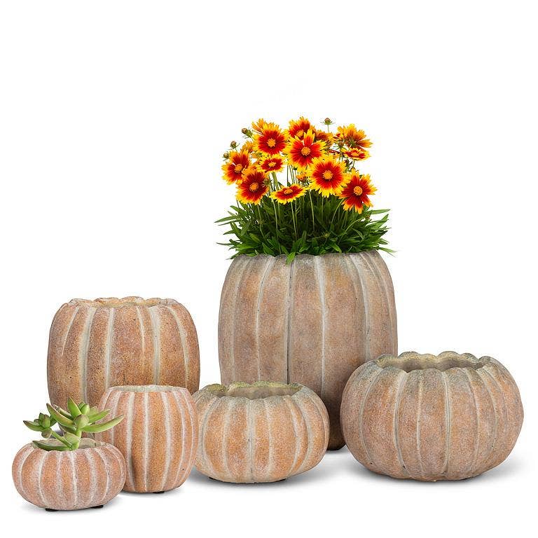 Cement Pumpkin Planter -