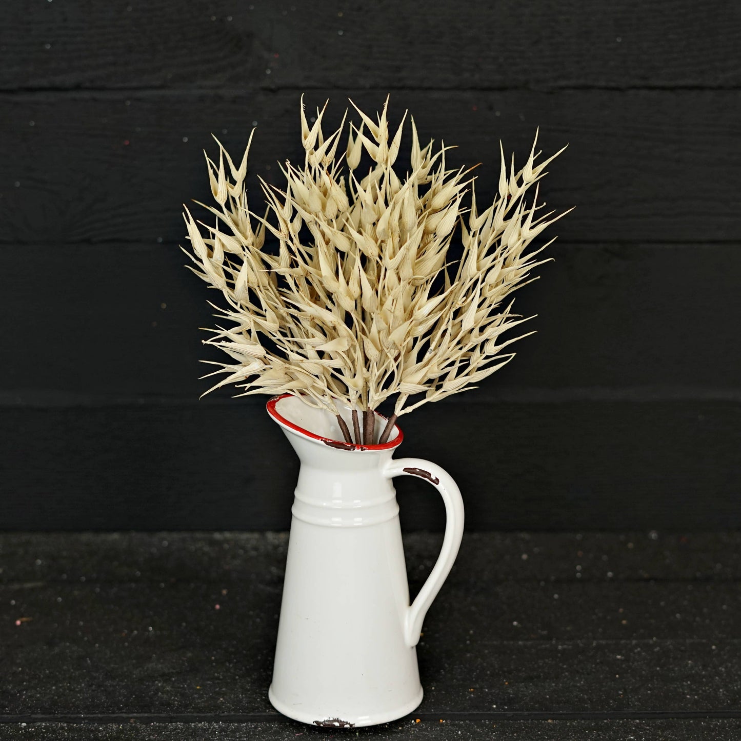 530061- 16in Bush-Cream Bearded Wheat Grass- -