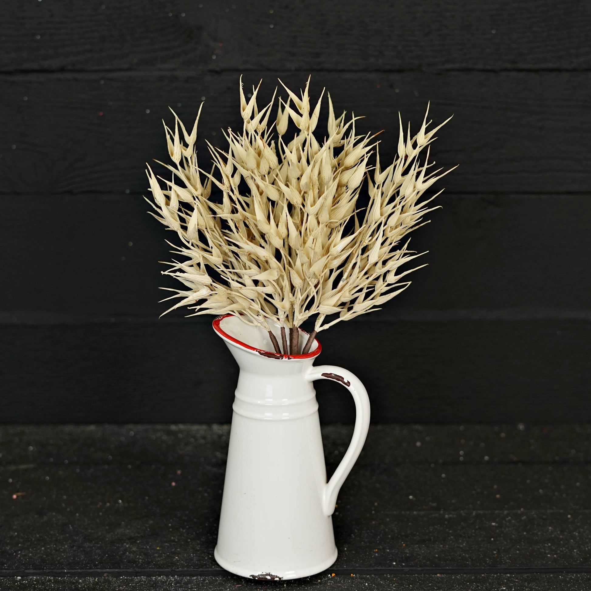 530061- 16in Bush-Cream Bearded Wheat Grass- -