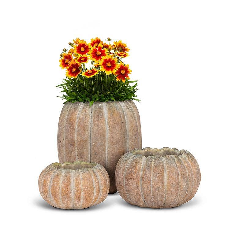 Cement Pumpkin Planter -