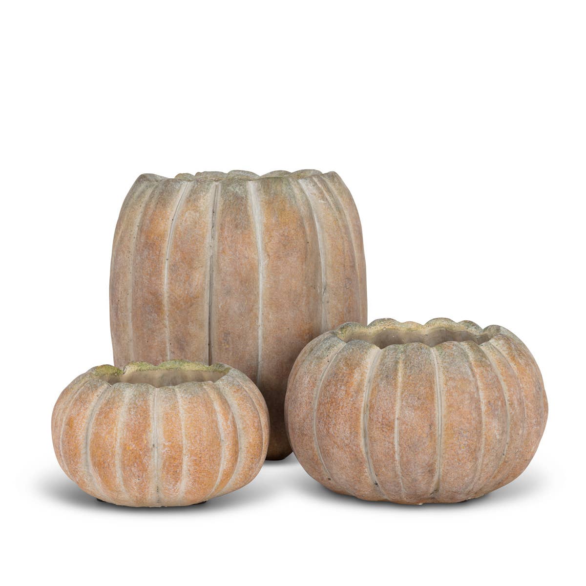 Cement Pumpkin Planter -