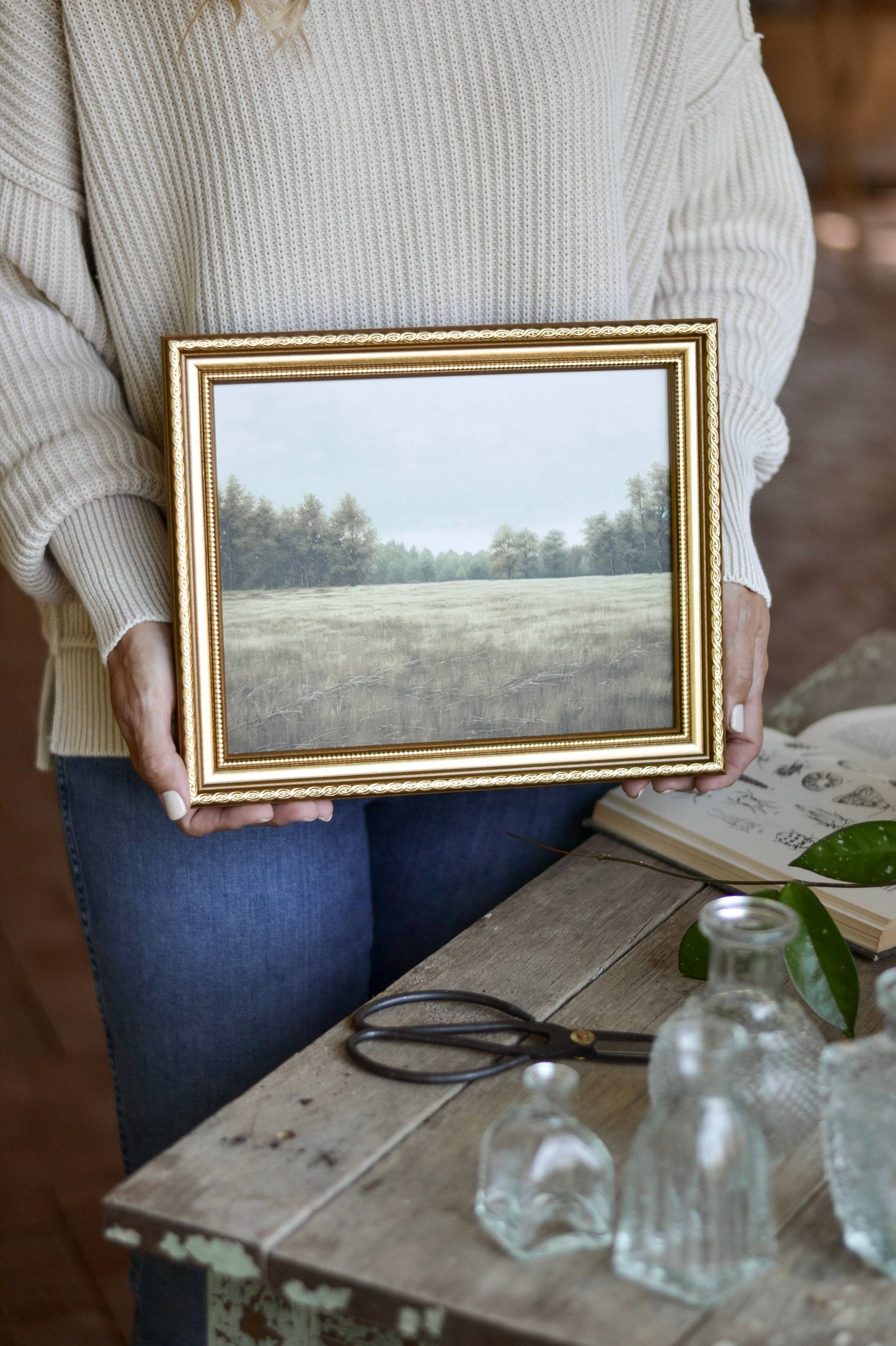 Evergreen Meadow -