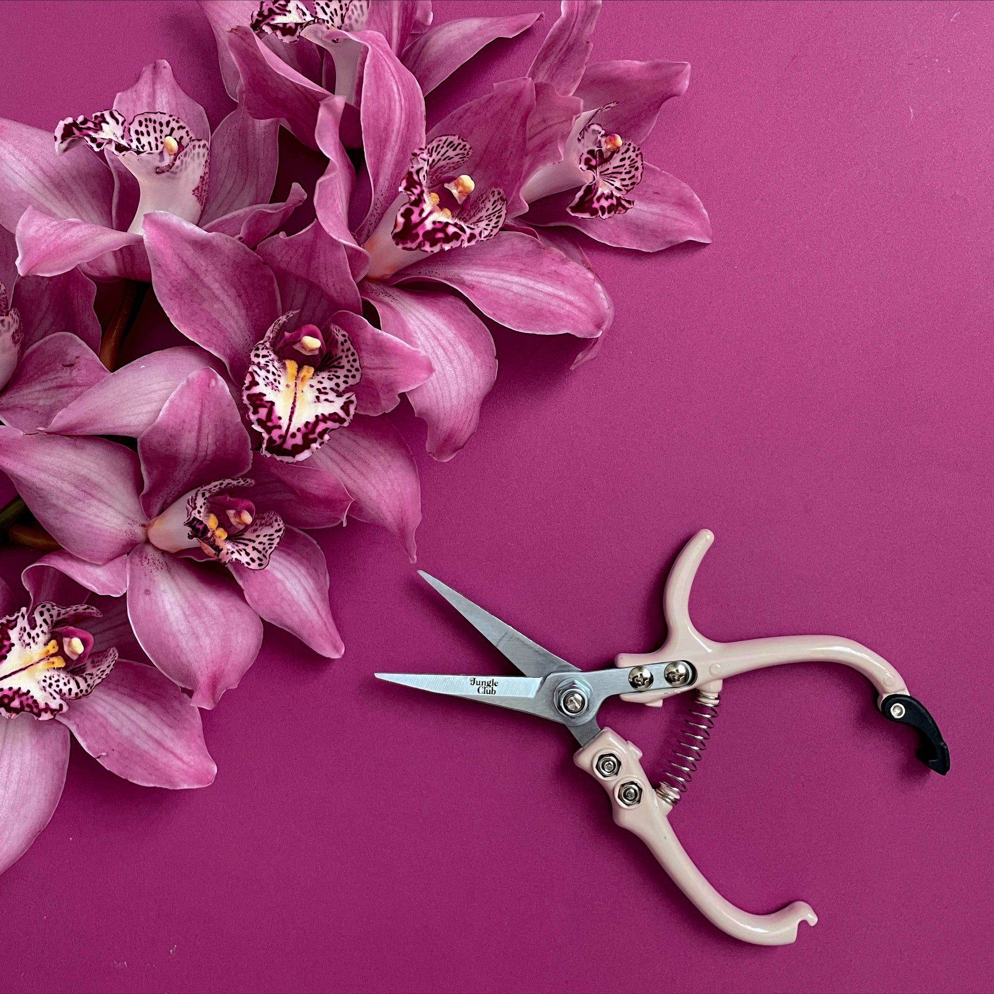 Pruning Shears | Vanilla -