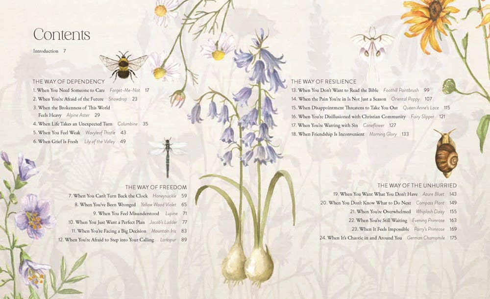 The Way Of The Wildflower Gospel Meditations To Unburden Your Anxious Soul