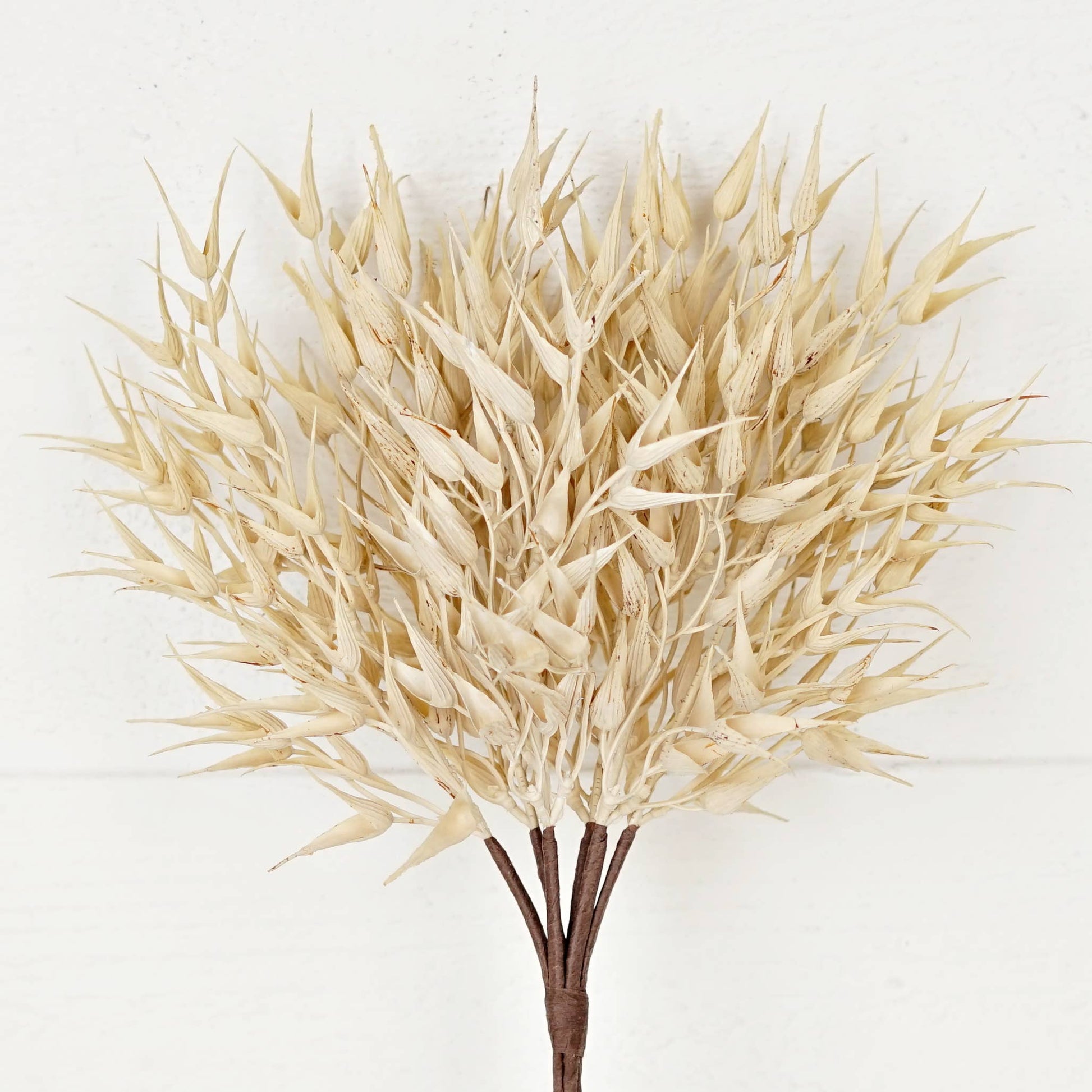 530061- 16in Bush-Cream Bearded Wheat Grass- -