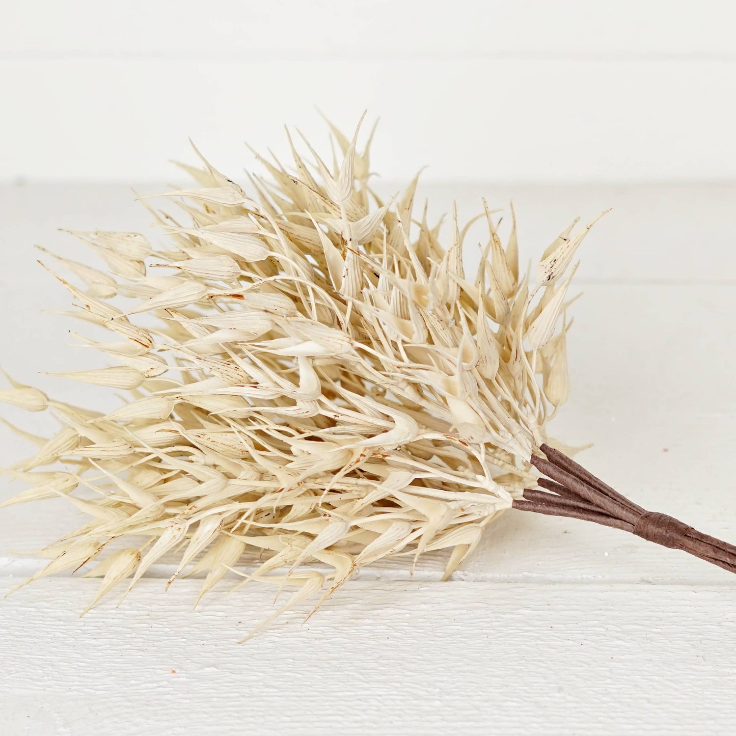530061- 16in Bush-Cream Bearded Wheat Grass- -
