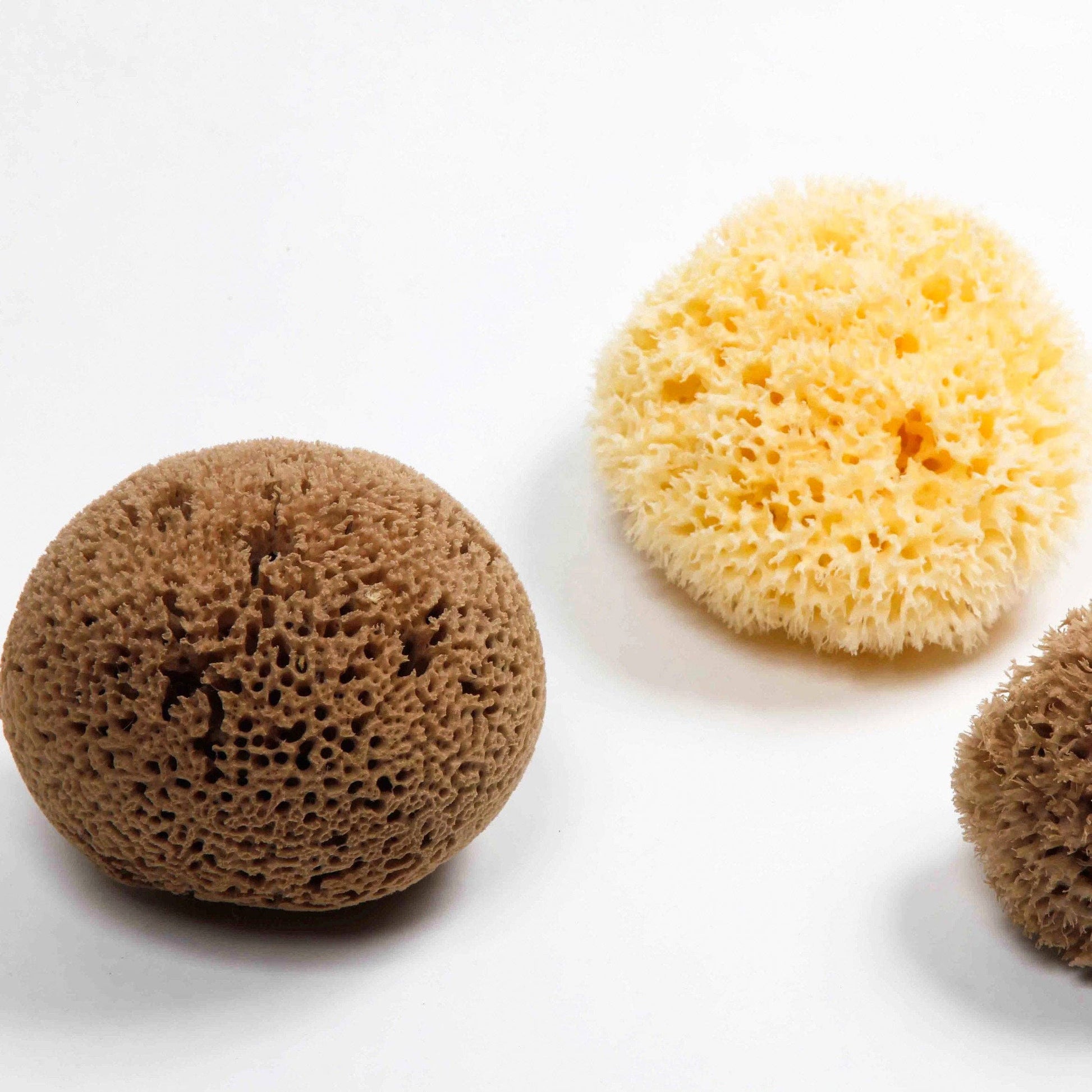 Natural Sea Sponge - Plastic Free Organic Sea Sponge -